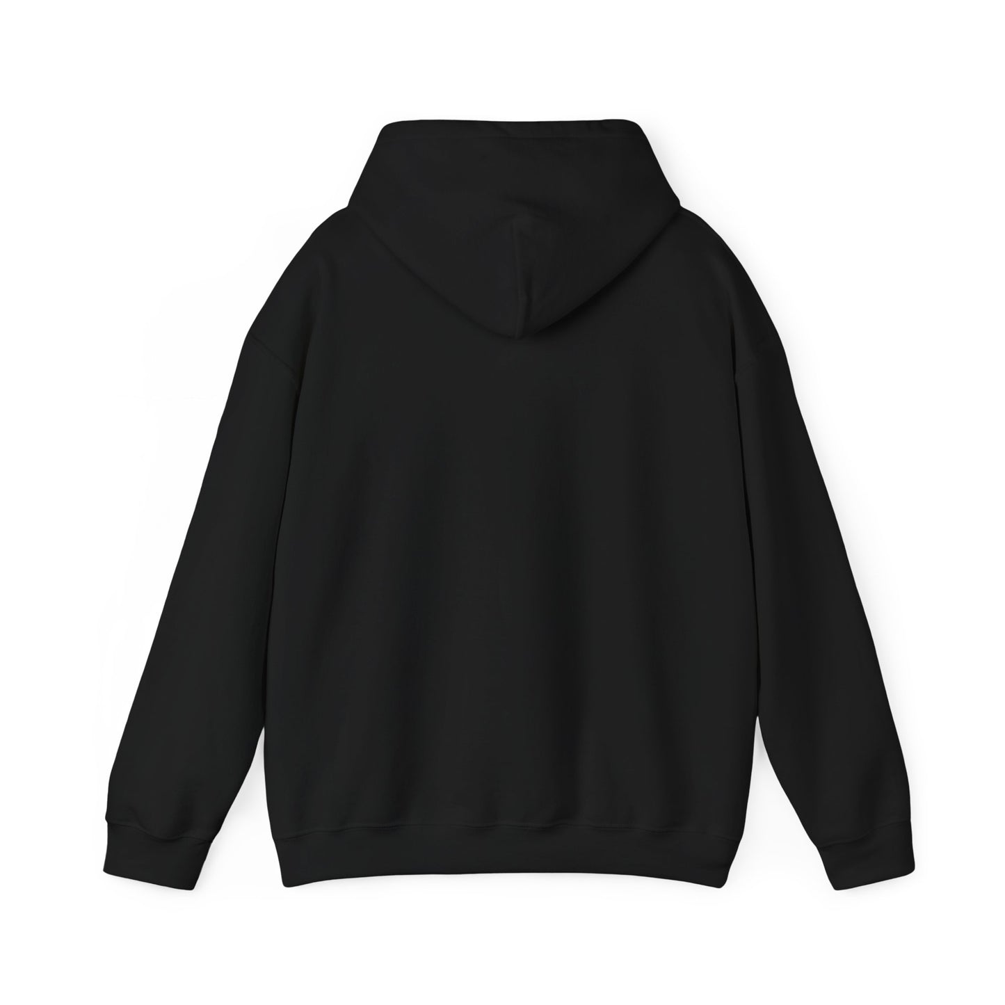 Be a Game changer, Hoodie, Chess, Pawn, King, Reflection, Potential, White, Black, Gift, Men, Women - Conscience Garment