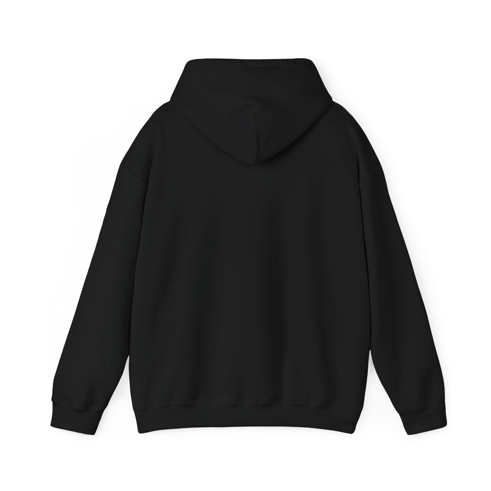 Be a Game changer, Hoodie, Chess, Pawn, King, Reflection, Potential, White, Black, Gift, Men, Women - Conscience Garment