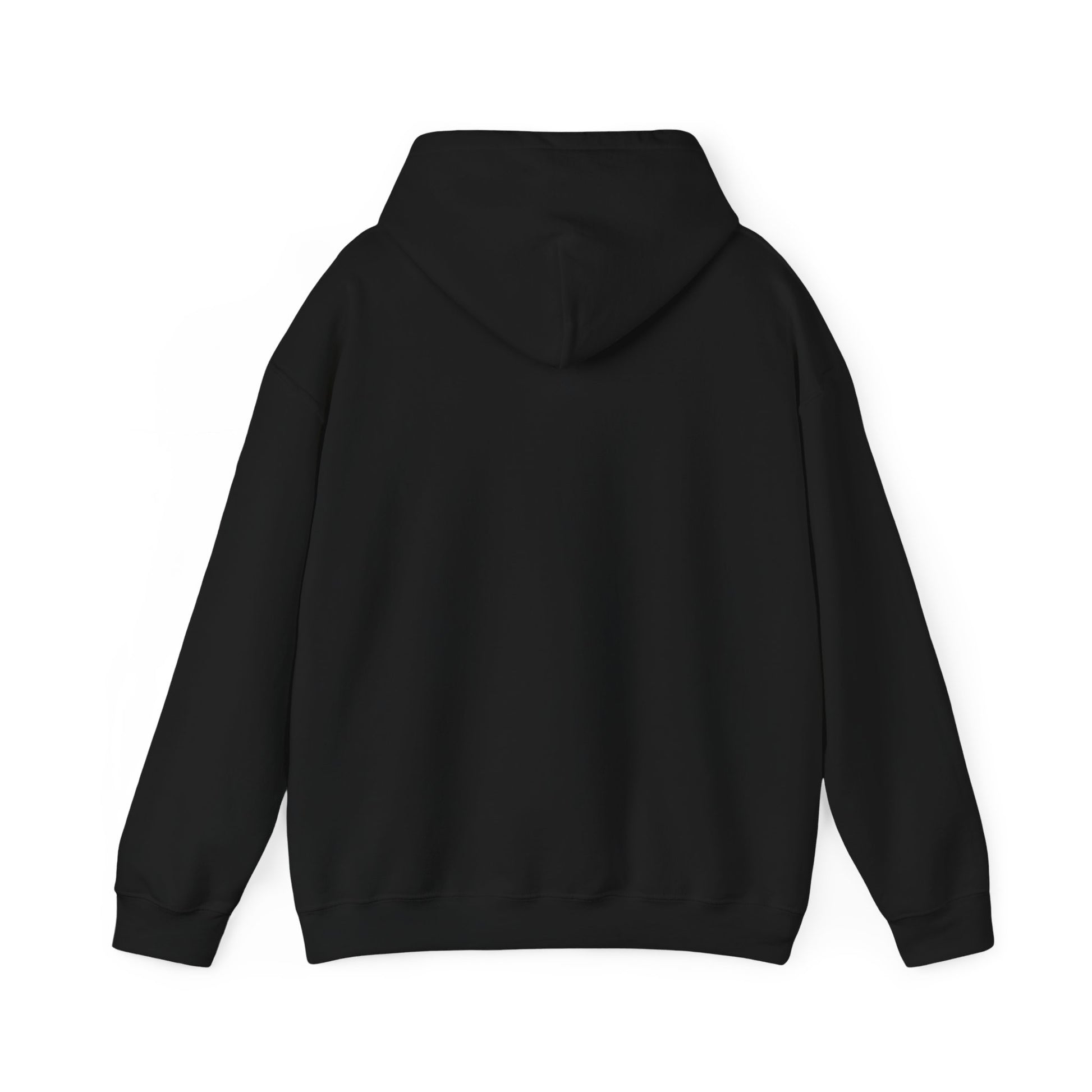 Fast sports Car, Hoodie, Heavy Cotton, Men, Women, Gift, Mindfulness, Motivation, Inspiration, Conscience Garment, Black - Conscience Garment