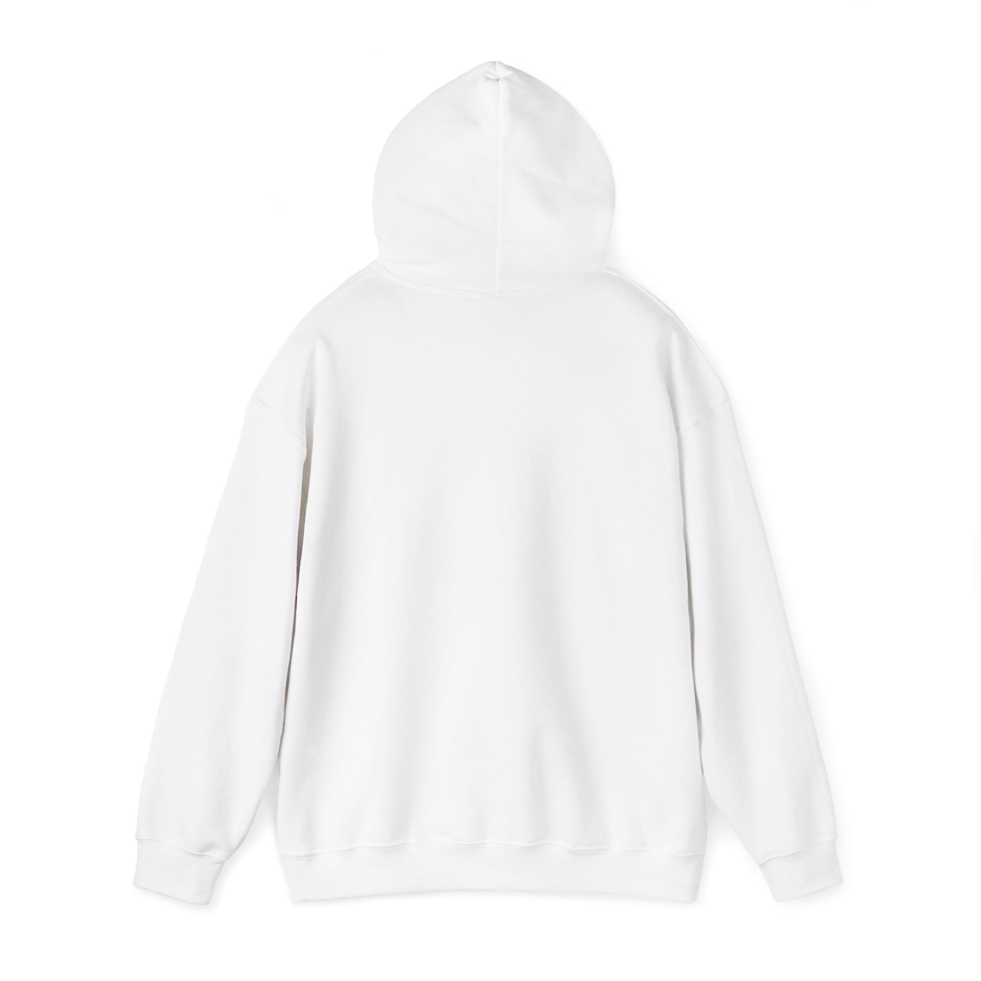 Be a Game changer, Hoodie, Chess, Pawn, King, Reflection, Potential, White, Black, Gift, Men, Women - Conscience Garment