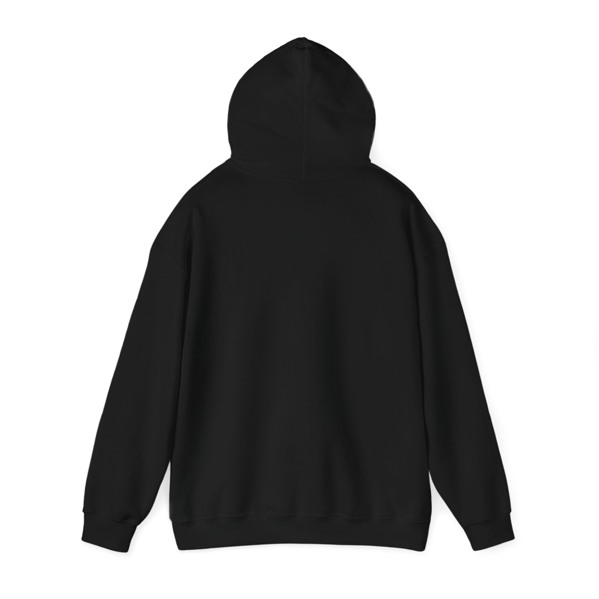 Fast sports Car, Hoodie, Heavy Cotton, Men, Women, Gift, Mindfulness, Motivation, Inspiration, Conscience Garment, Black