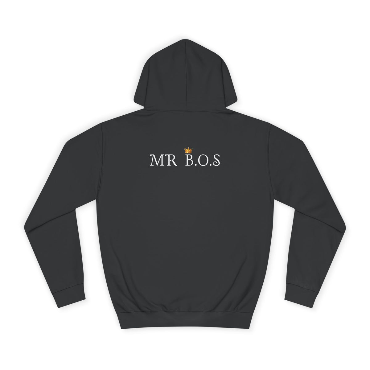 College Hoodie Lion Family - Conscience Garment